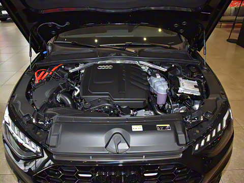 2024�� 40 TFSI ����������(��ҹ��)