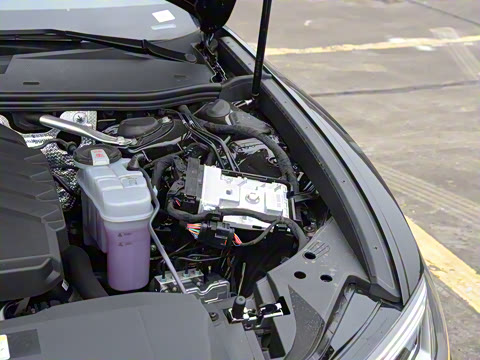 2025�� 45 TFSI quattro ��ѡ������+������