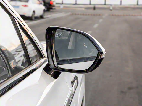 2025�� 1.5T 106KM������ 5�� �������