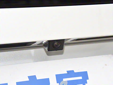 2025�� 725 �������� Max