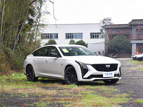 2025�� 28T �������ܰ�