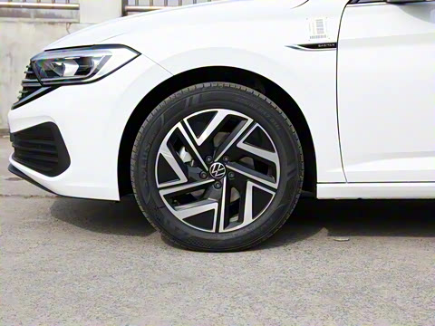 2025�� 300TSI DSG��Խ��