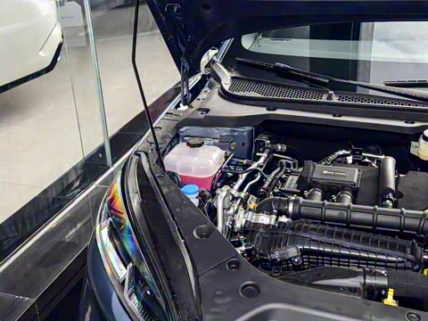 2025�� DM-i �Ǽݰ� 120KM������