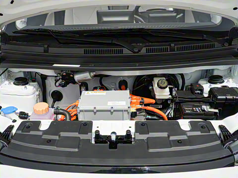 2025�� 305km ������