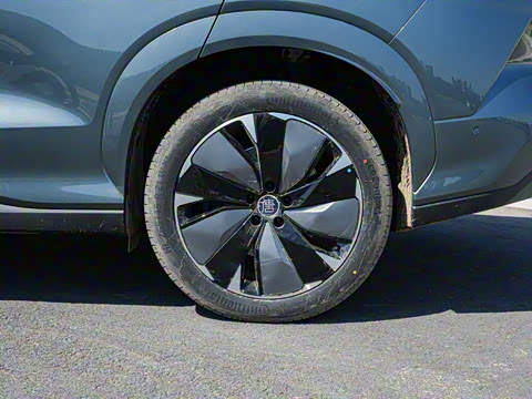 2025�� EV 600KM���������״��콢��