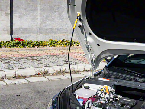 2025�� DM-i �Ǽݰ� 80KM������