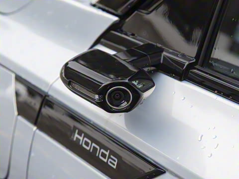 2025�� ����������Max