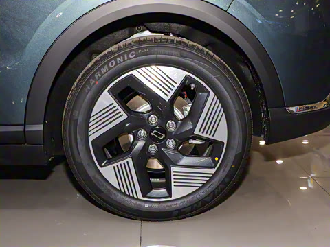 2025�� 565km ������