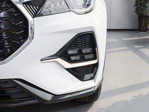 2025�� 1.5T �ֶ���Խ�� 7��