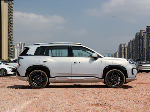 2025�� ���������� 650 ������