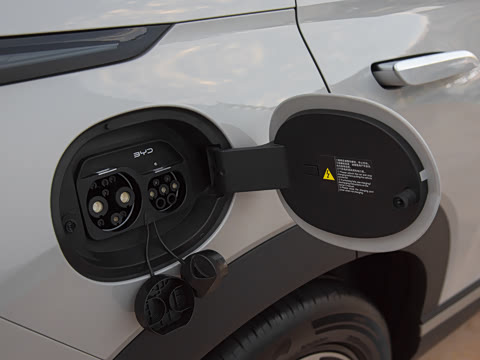 2025�� 135 �����ܼ����״��