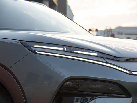 2025�� DM 175KM���˻���Ұ�