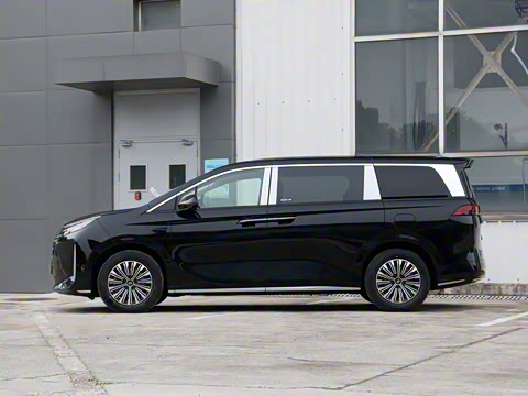 2025�� DM-i 1.5T 100km ��Խ��