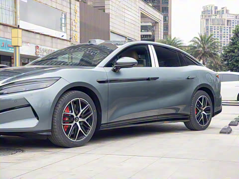 2025�� DM-p ���������״��콢��