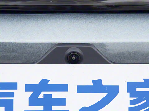 2025�� DM-p ���������״��콢��