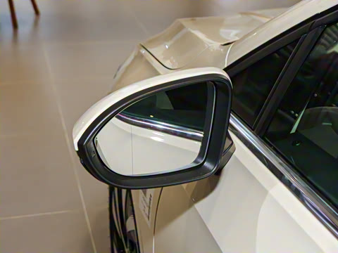 2025�� 300TSI Pro