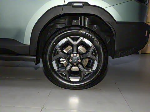 2025�� 2.0TD XWD����