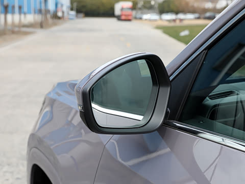 2025�� ;�� Pro 450TSI �����ݺ��