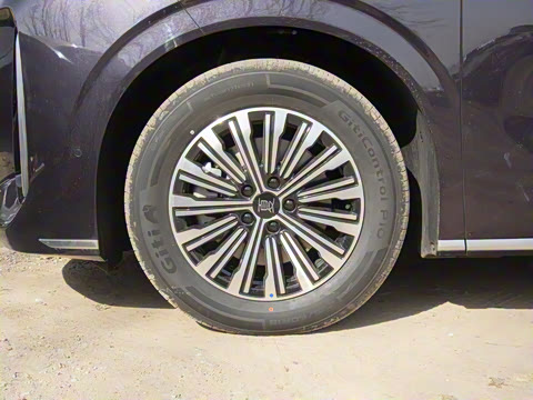 2025�� DM-i 1.5T 100km ��Խ��