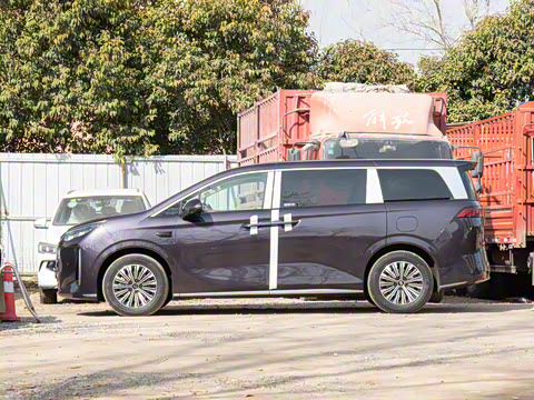 2025�� DM-i 1.5T 100km ��Խ��