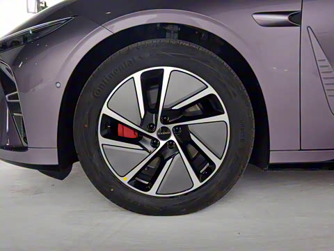 2025�� ���� Max ����������ʻ