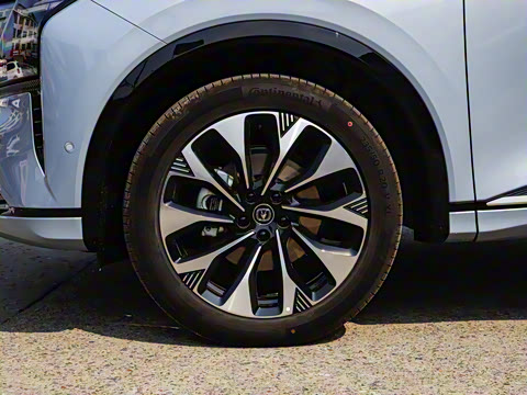 2025�� ���Ĵ� UItra 2.0T ������ �ǻ�������