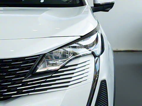 2025�� ������