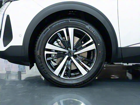 2025�� ������