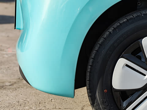 2025�� ���Ű� ���׿�