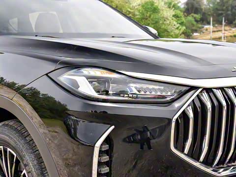 2024�� �ھ��� 1.5T �ֶ��ھ� 5��