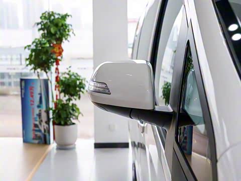 2025�� PLUS 2.0L ���ʰ�