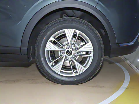 2025�� 565km ������