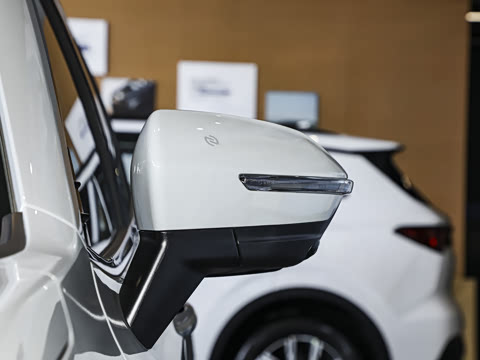 2025�� ������