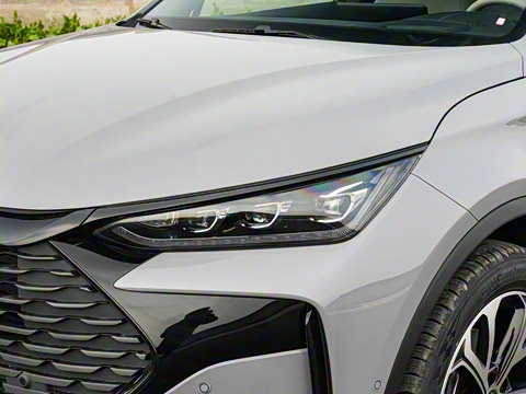 2025�� �Ǽݰ� DM-i 115KM �콢��