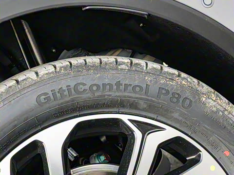 2025�� �Ǽݰ� DM-i 115KM �콢��