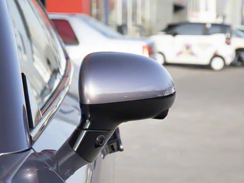 2025�� ���� Max ����������ʻ