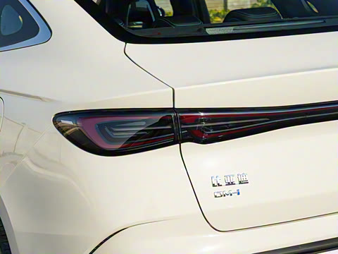 2025 DM-i Ǽݰ 120KM