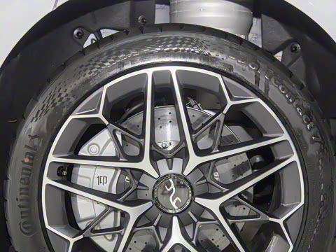 2025�� EV ����������