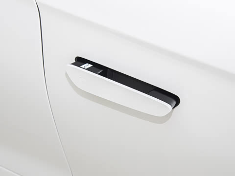 2025�� EV ����������