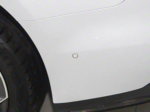 2025�� EV ����������