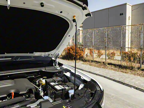 2025�� 2.0T�Զ������캽�� ����