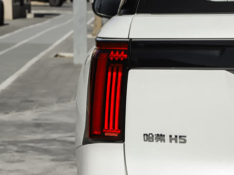 2025�� 2.0T�Զ������캽�� ����