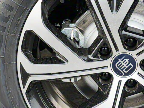 2025�� �Ǽݰ� DM-i 115KM ������