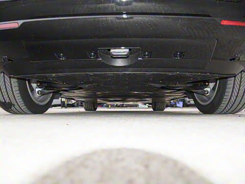 2025�� ����������Max