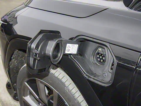 2025�� ����������Max