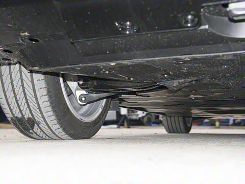 2025�� ����������Max