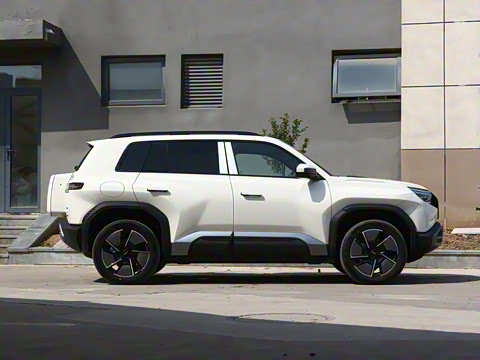 2025�� 501KM ����Max��