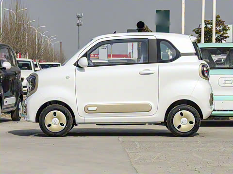 2025�� 222km ������