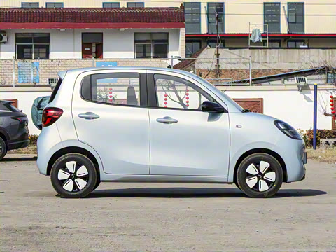 2025�� ���Ű� ���׿�