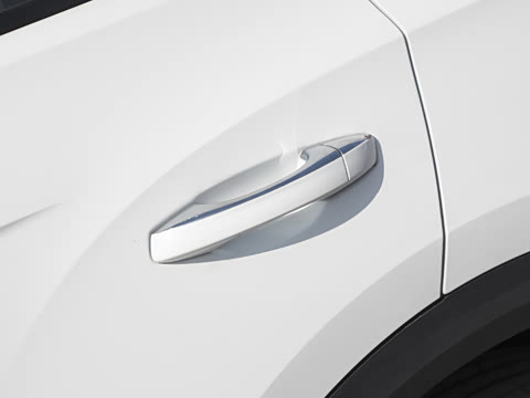 2025�� 300TSI DSG���������